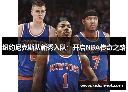 纽约尼克斯队新秀入队：开启NBA传奇之路